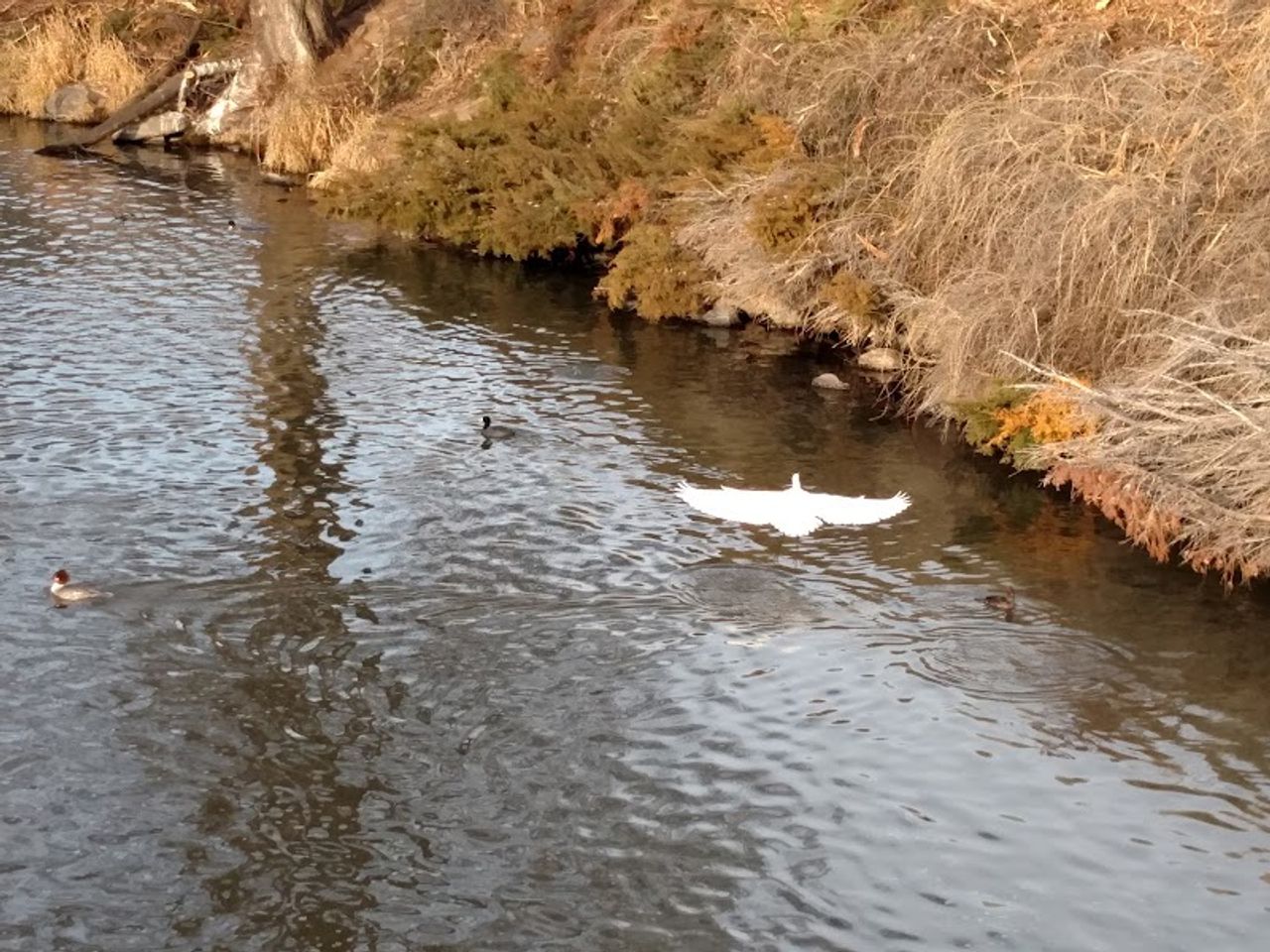 Photo of River Park Inn