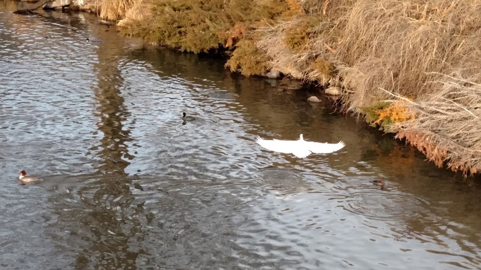 Photo of River Park Inn