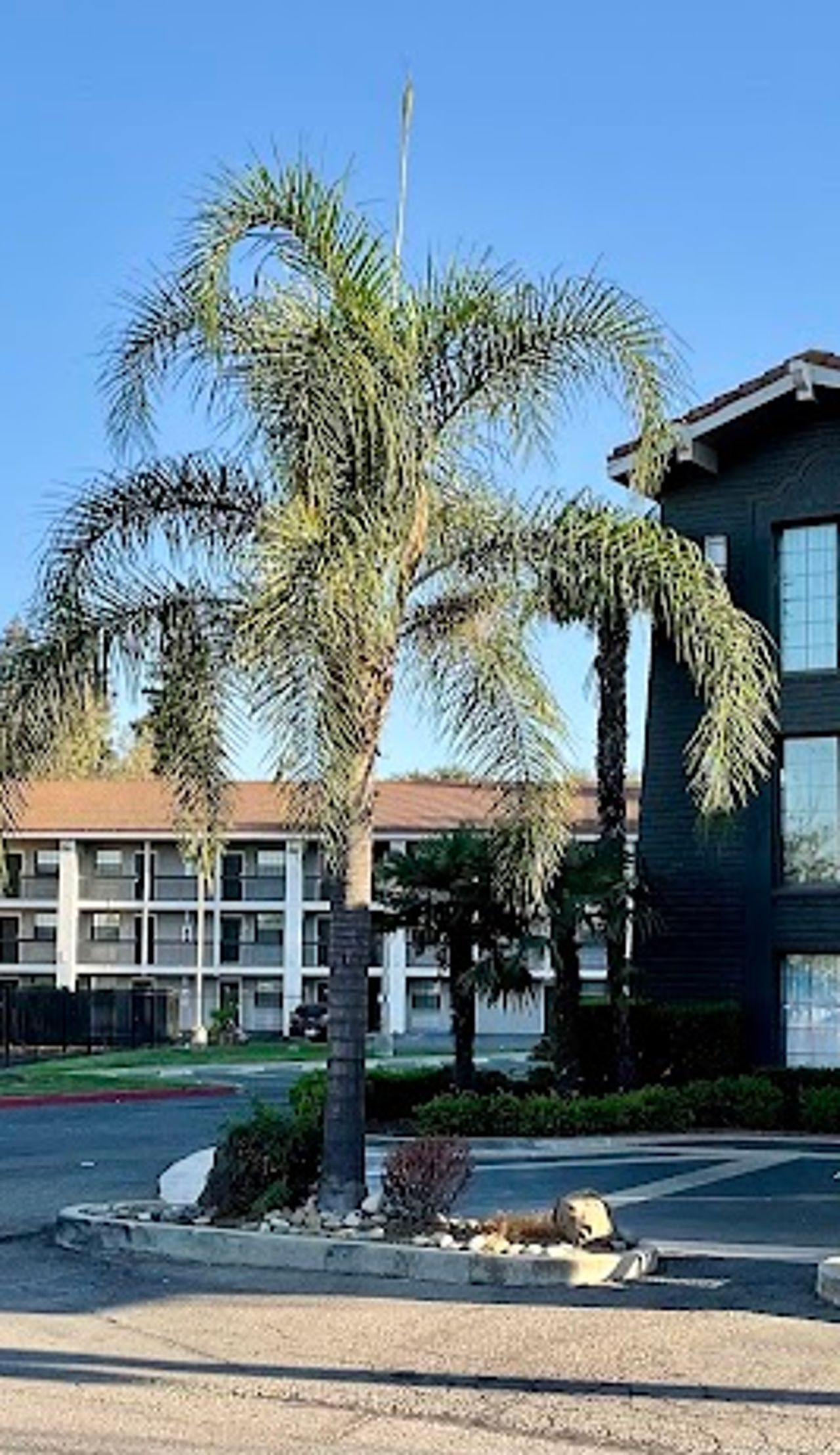 Photo of La Quinta Inn by Wyndham Stockton