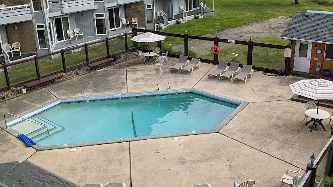 Photo of The Grey Gull