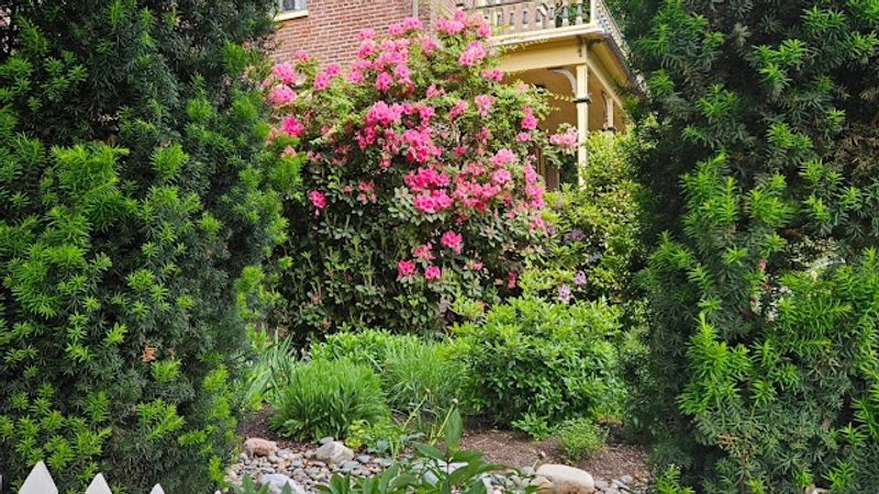 Photo of The Orth House Inn by Remotion