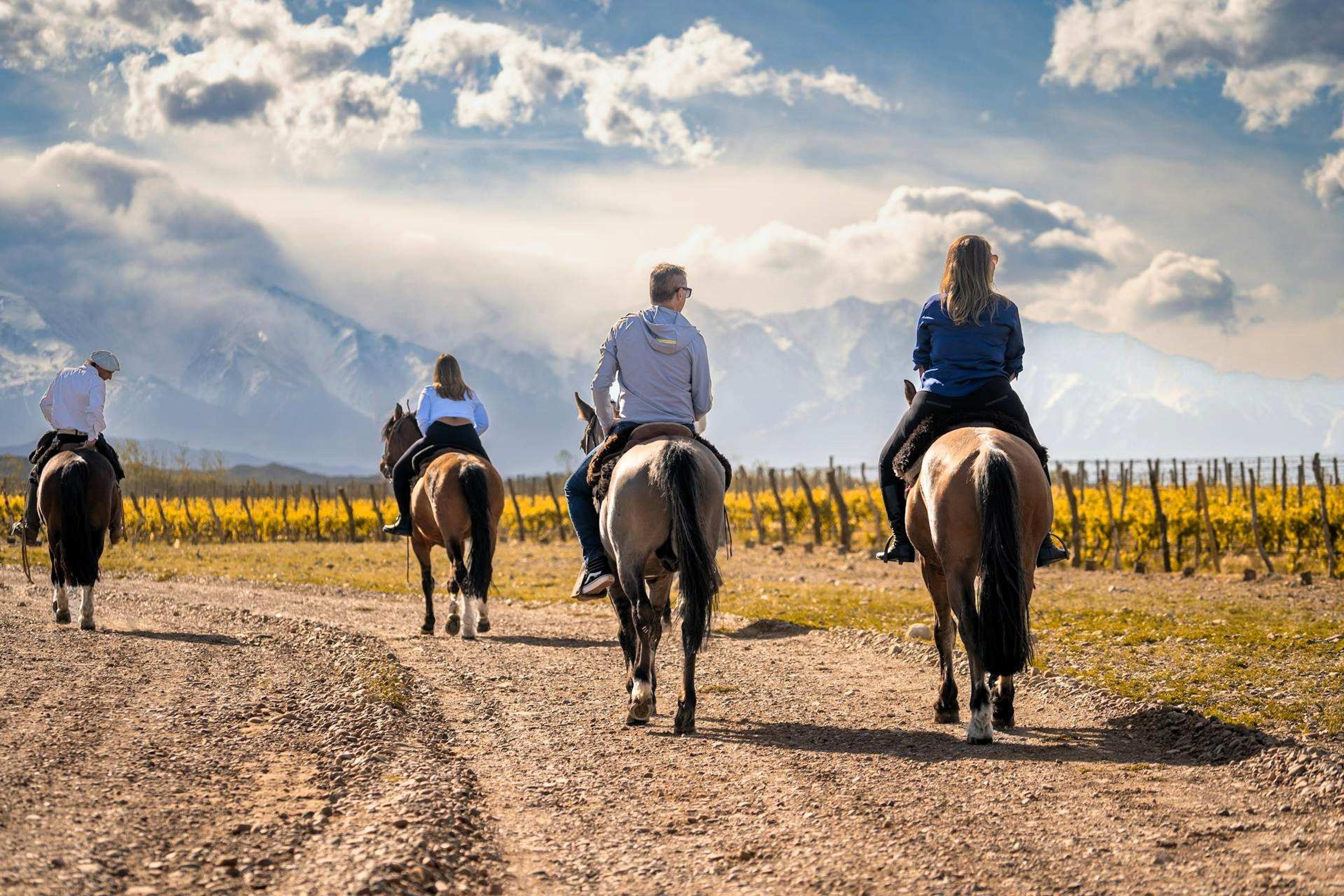 People Riding Horseback around a Vineyard