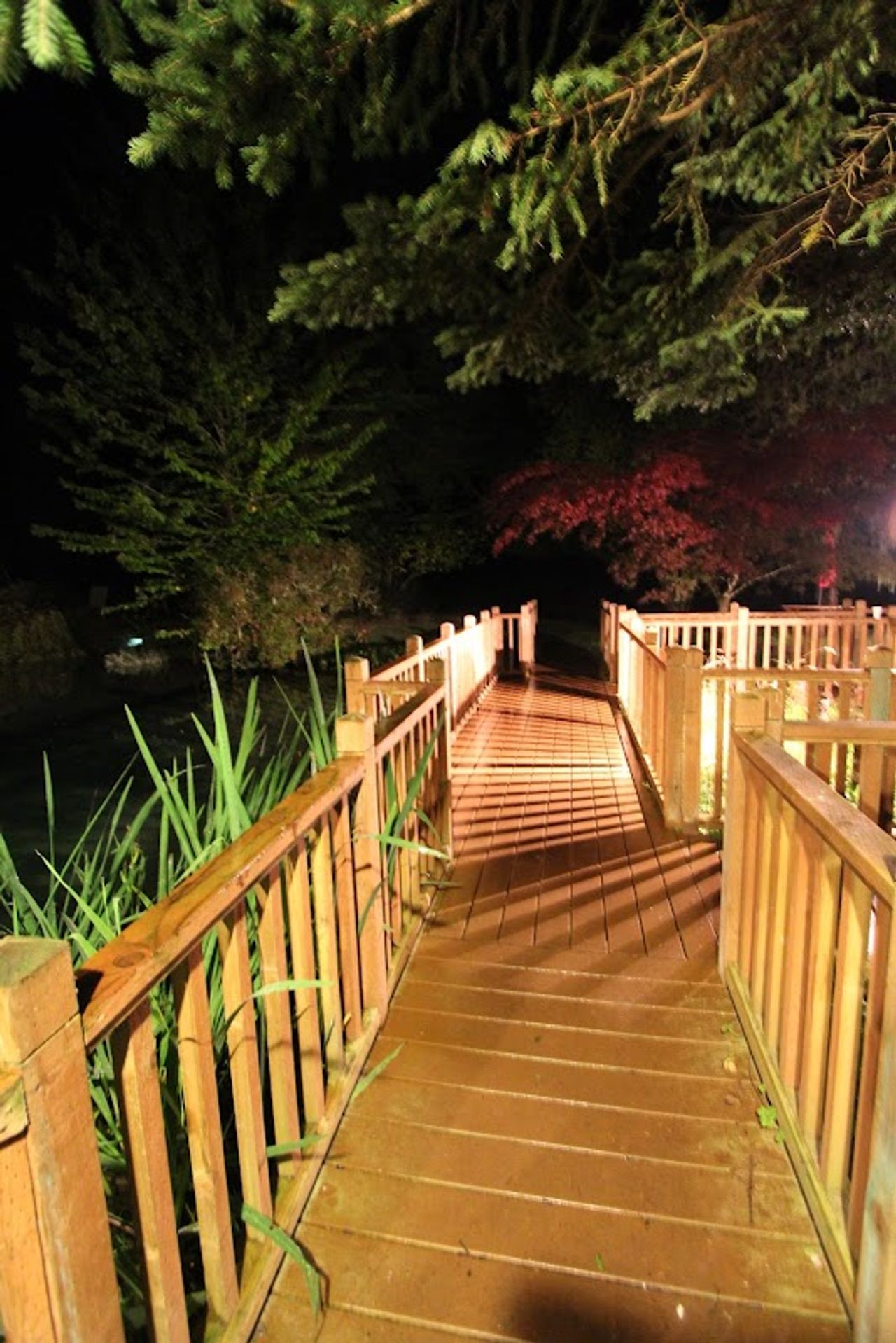 Photo of Alexander's Lodge At Mt Rainier