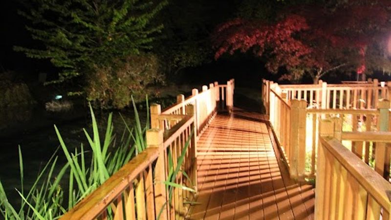 Photo of Alexander's Lodge At Mt Rainier