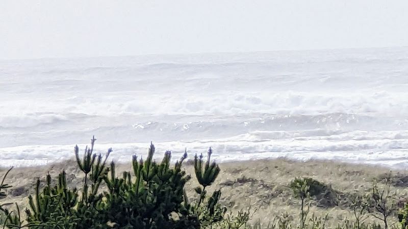 Photo of The Polynesian Resort
