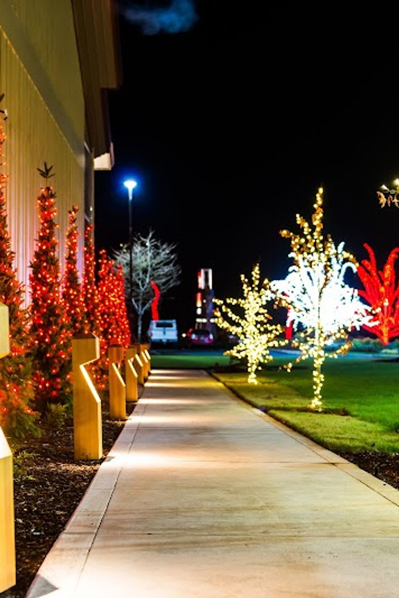 Photo of 7 Cedars