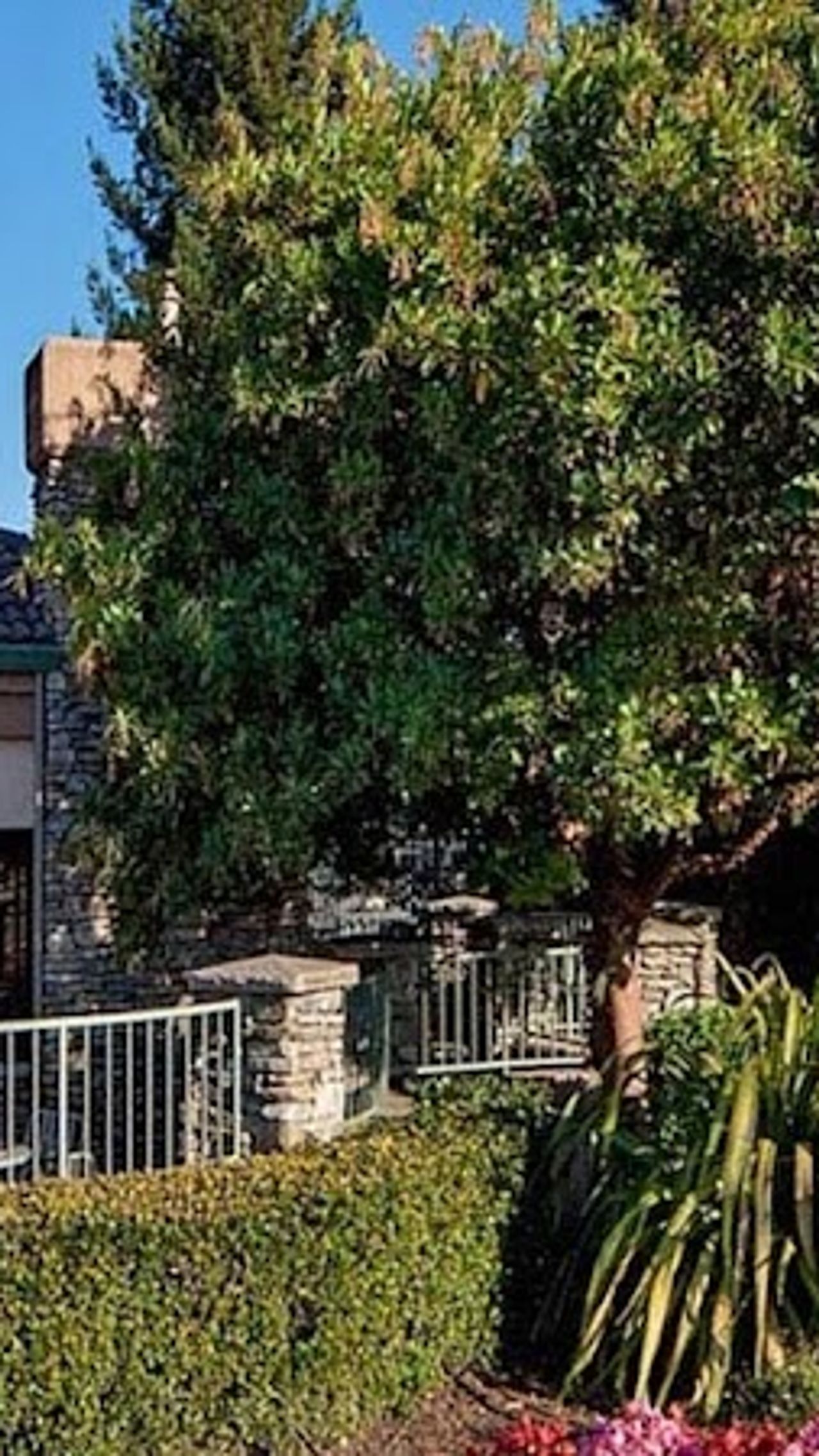 Photo of Hawthorn Suites by Wyndham Napa Valley