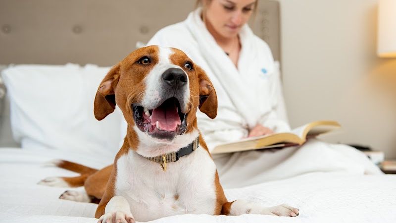 Photo of Mark Spencer Hotel Portland