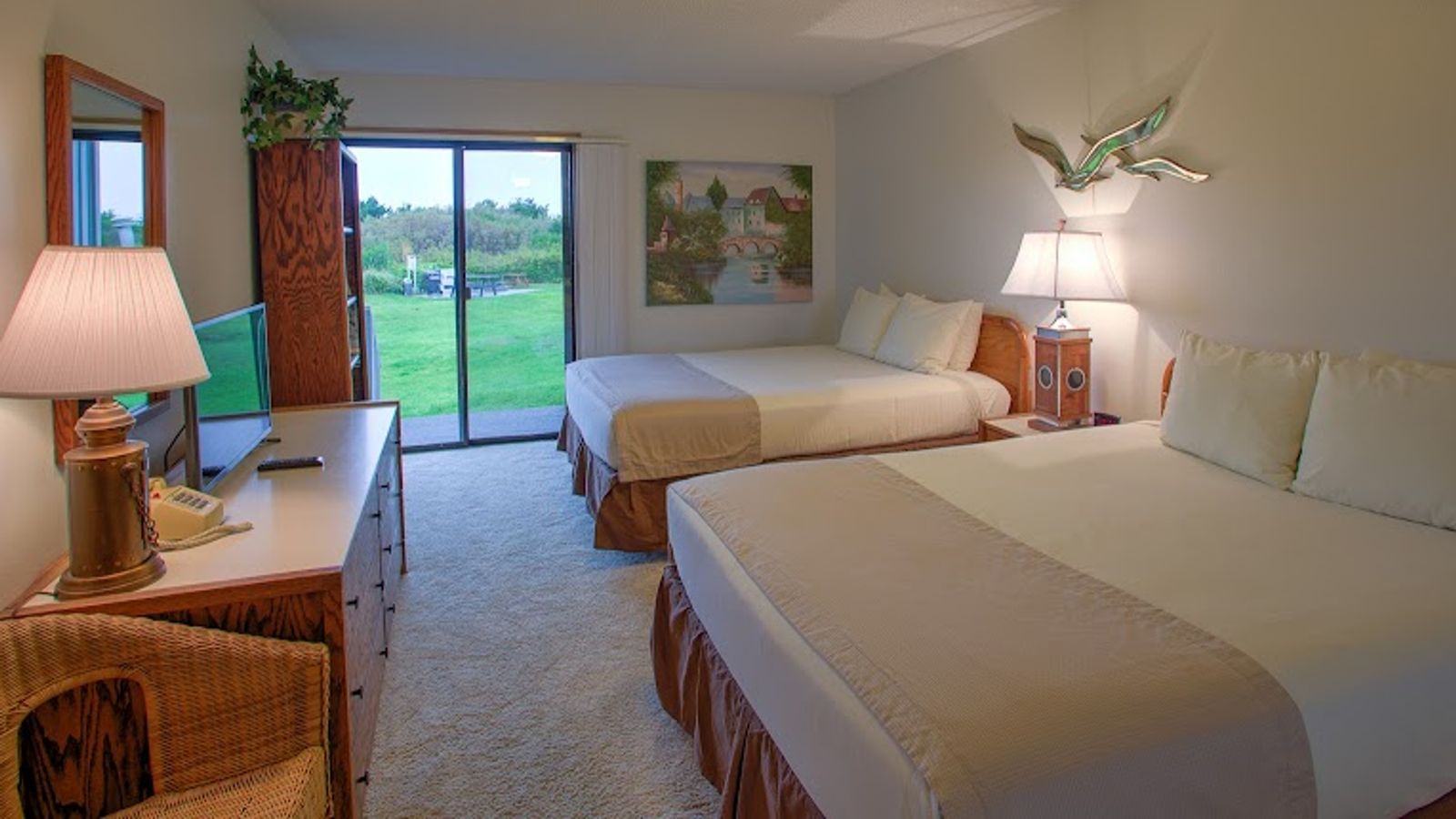 Photo of The Grey Gull