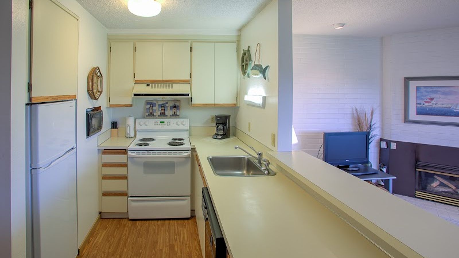 Photo of The Grey Gull