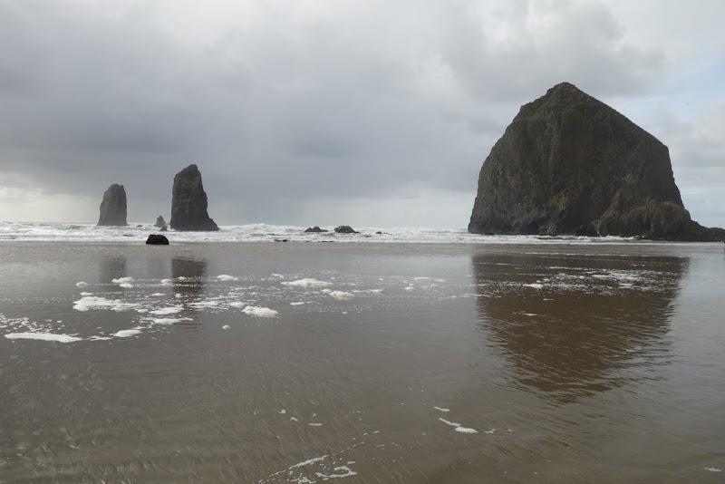 Photo of Sea Sprite on the Estuary