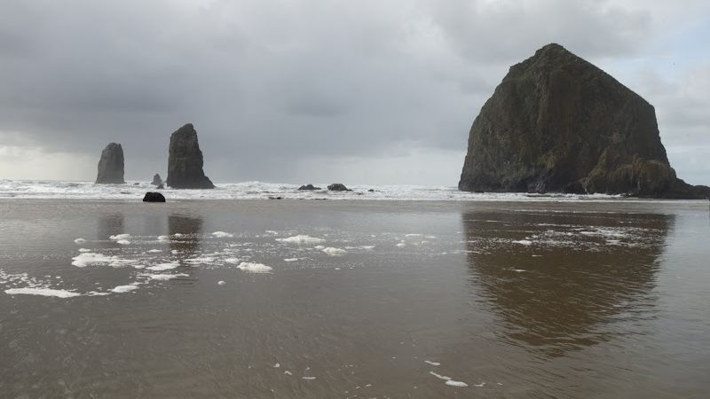 Photo of Sea Sprite on the Estuary