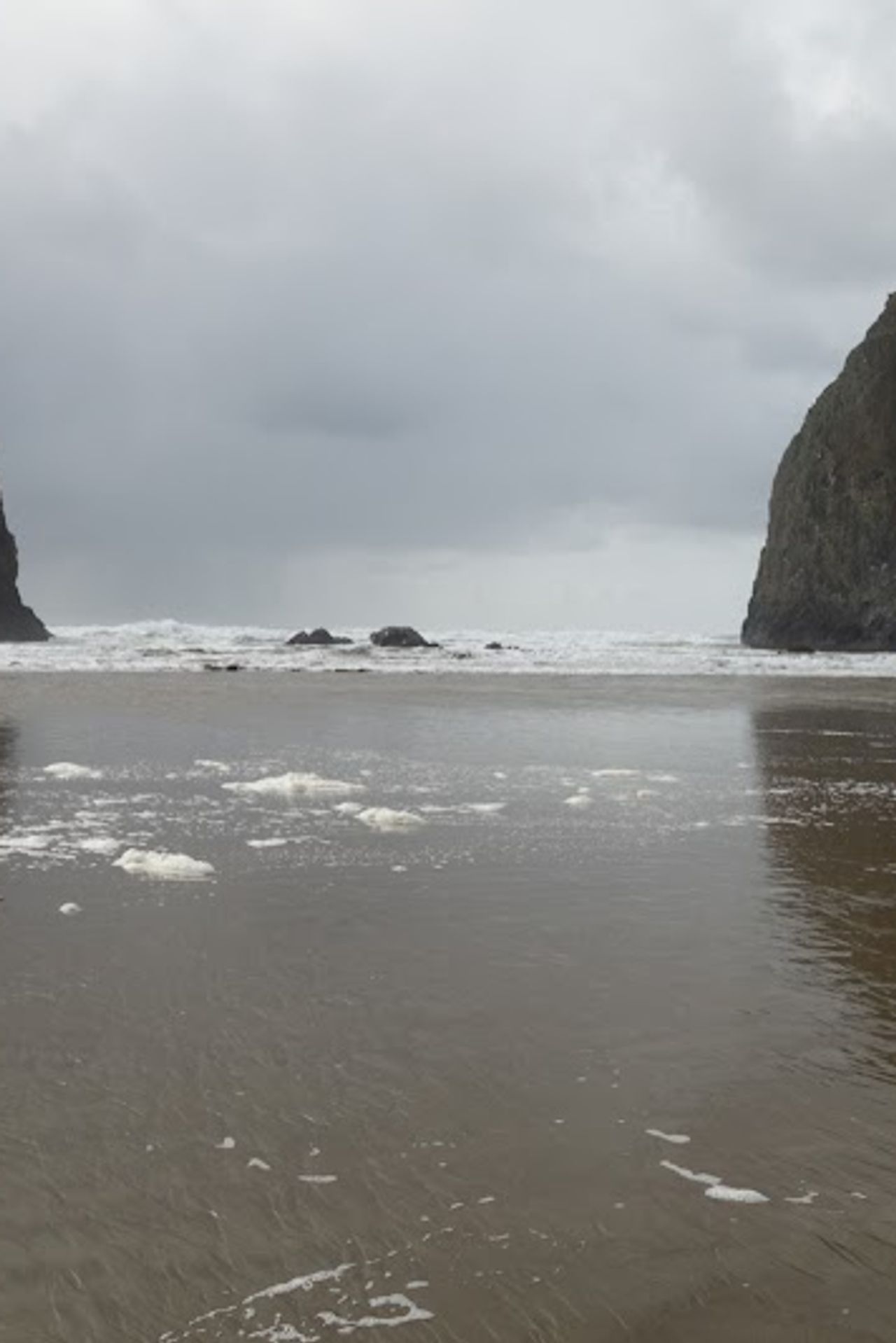 Photo of Sea Sprite on the Estuary