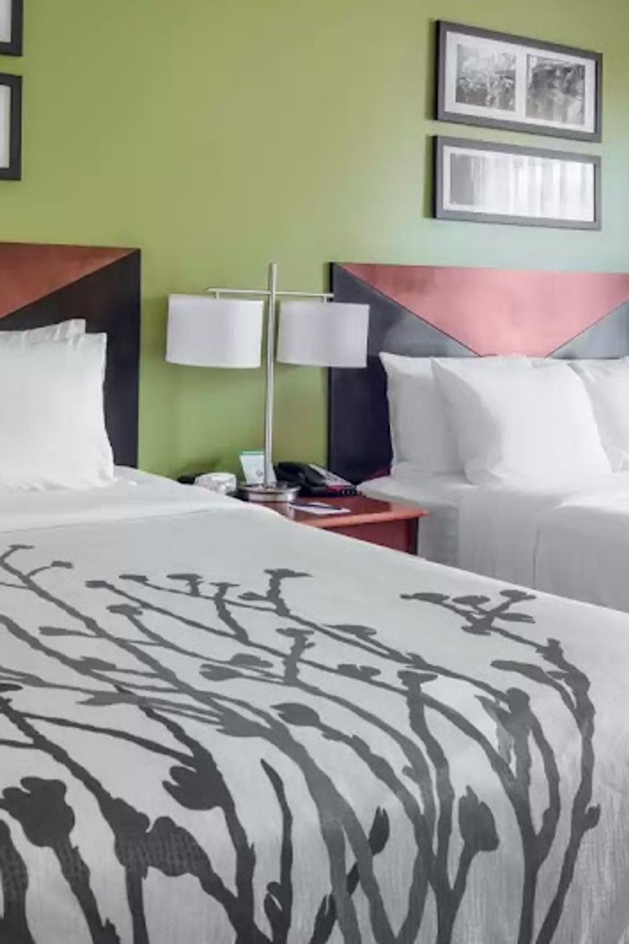 Photo of Sleep Inn & Suites