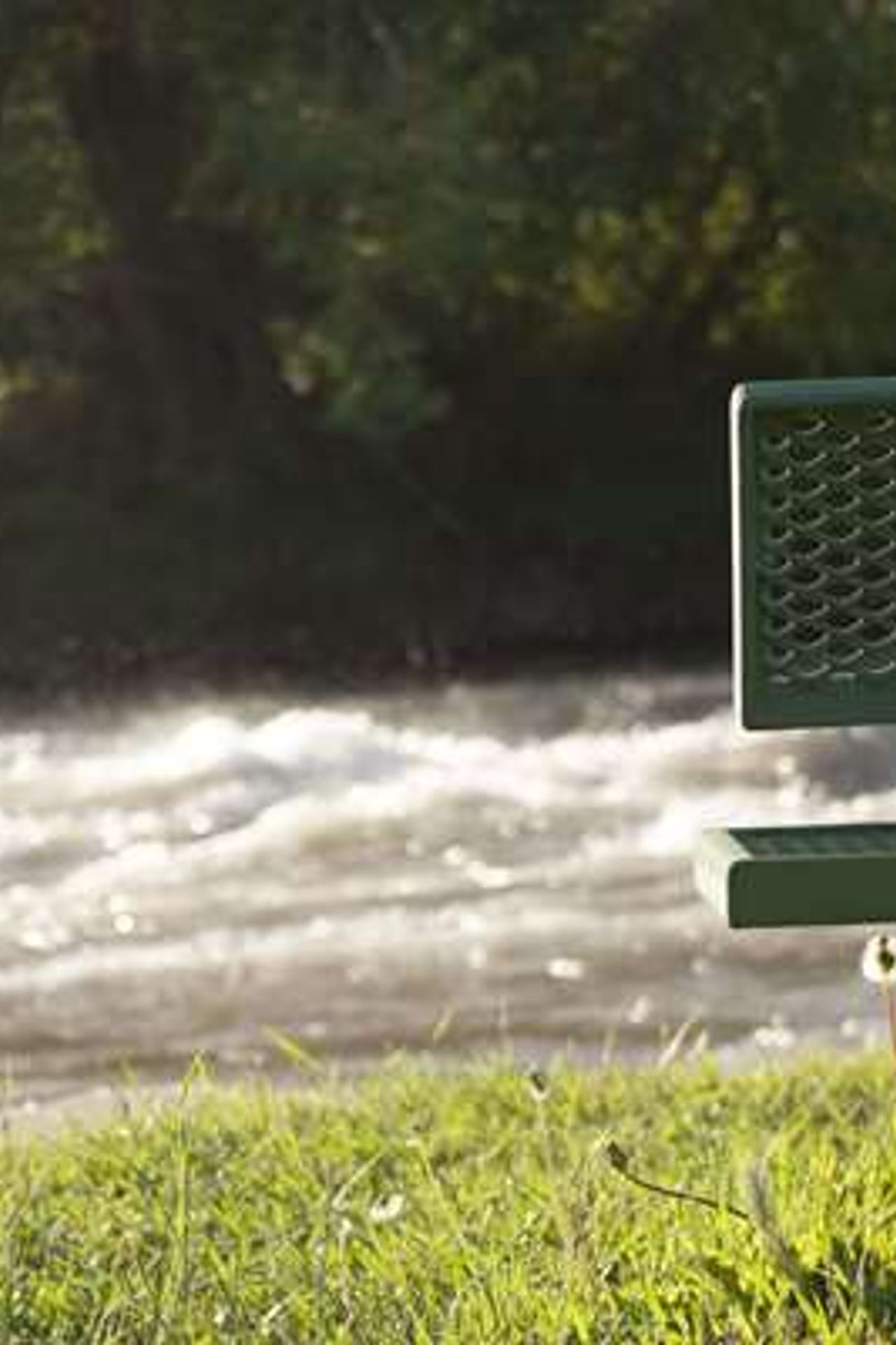 Photo of Super 8 by Wyndham Salmon
