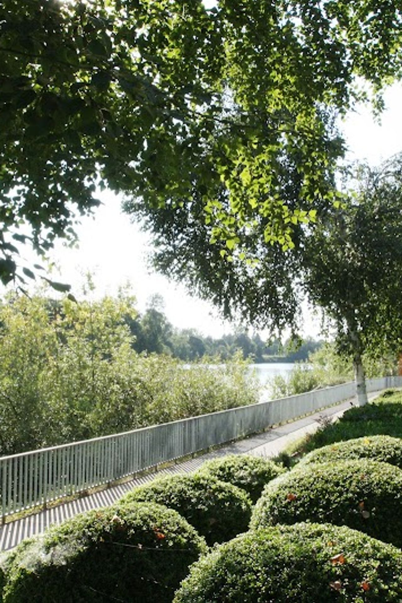 Photo of Valley River Inn - Riverfront Walking Trail