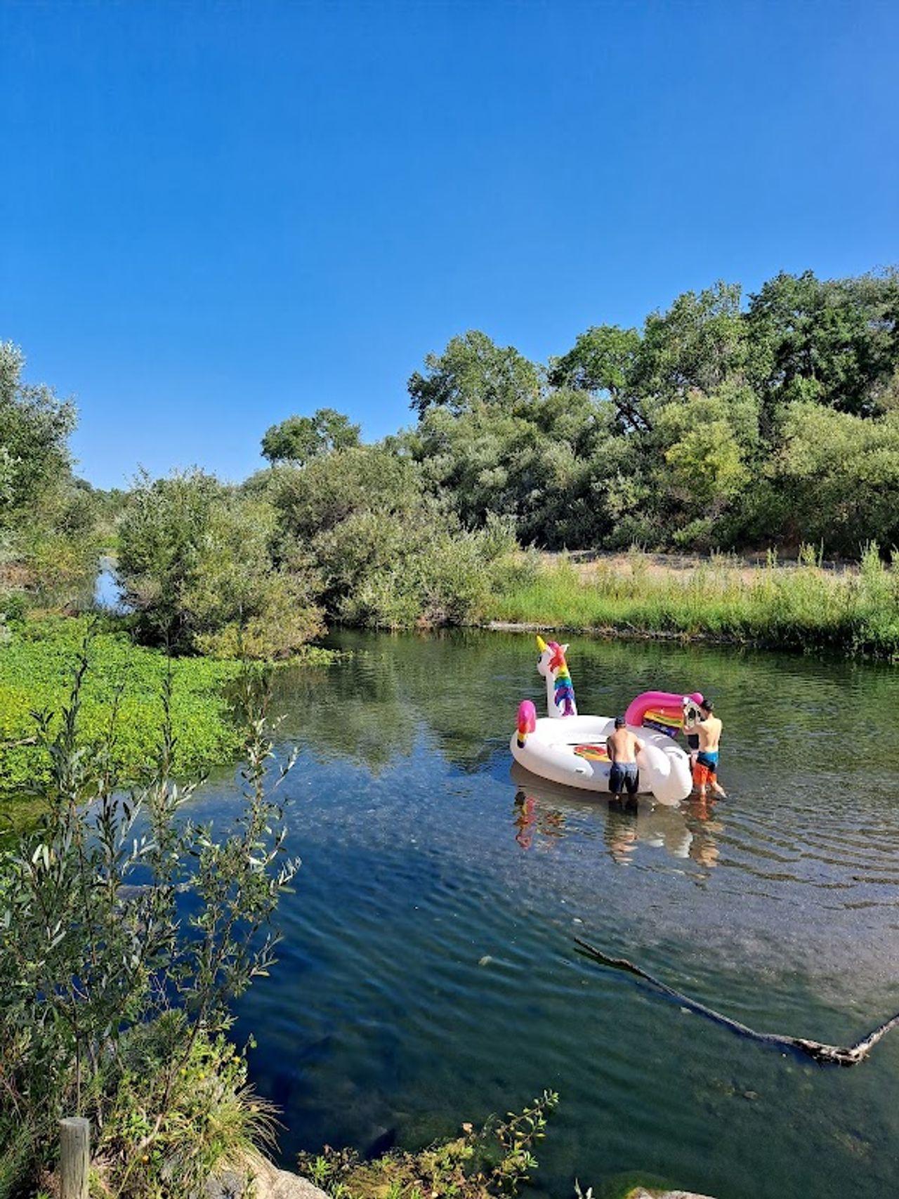 Photo of Wildhaven Sonoma Glamping