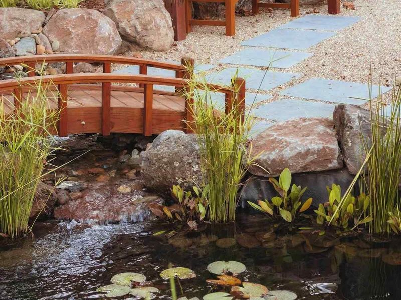 Okaeri Calistoga - Gargen, Koi Pond