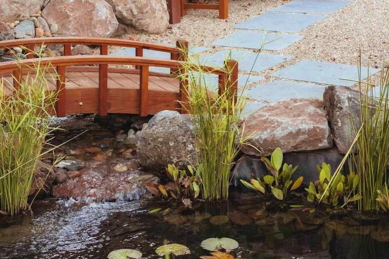 Okaeri Calistoga - Gargen, Koi Pond