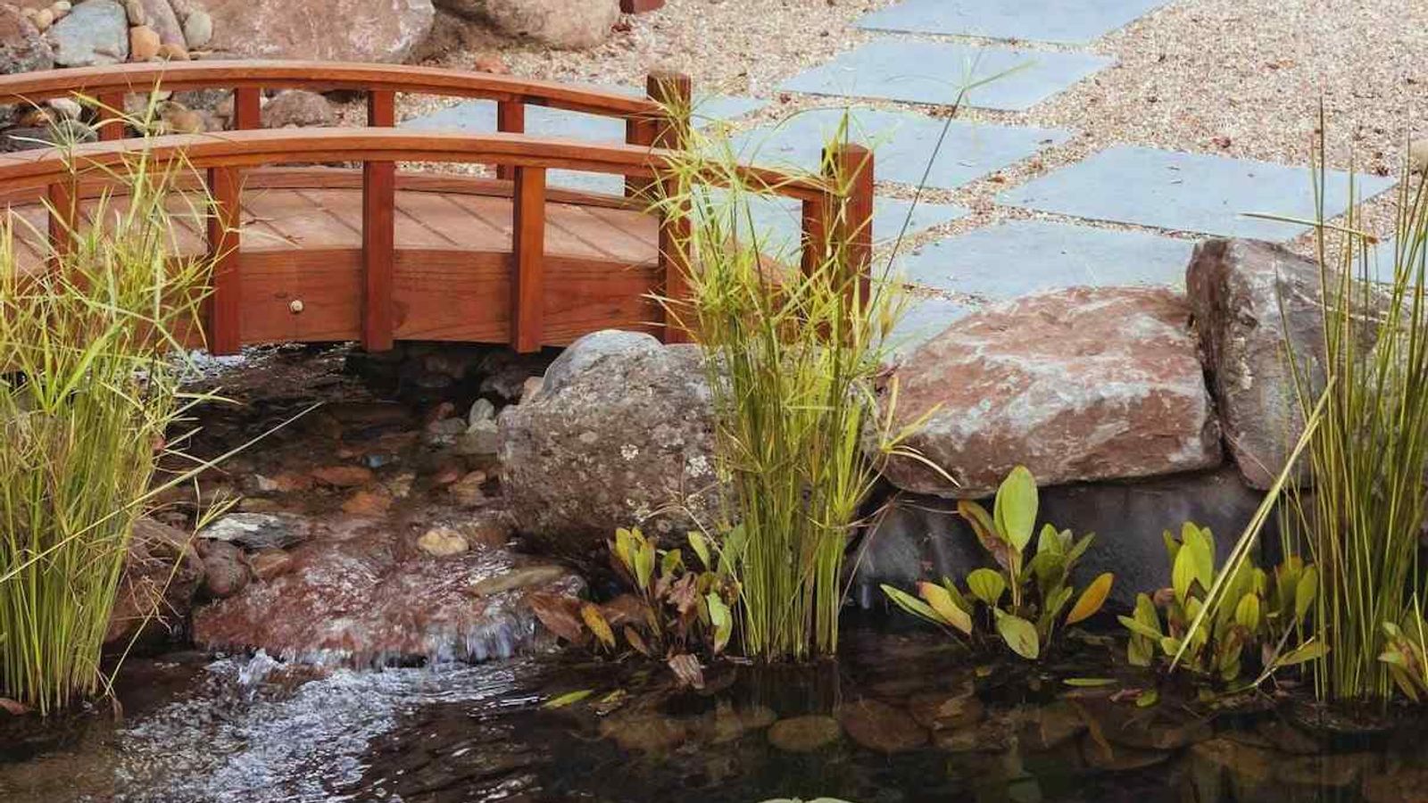 Okaeri Calistoga - Gargen, Koi Pond