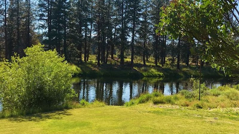 Photo of Lonesome Duck Ranch