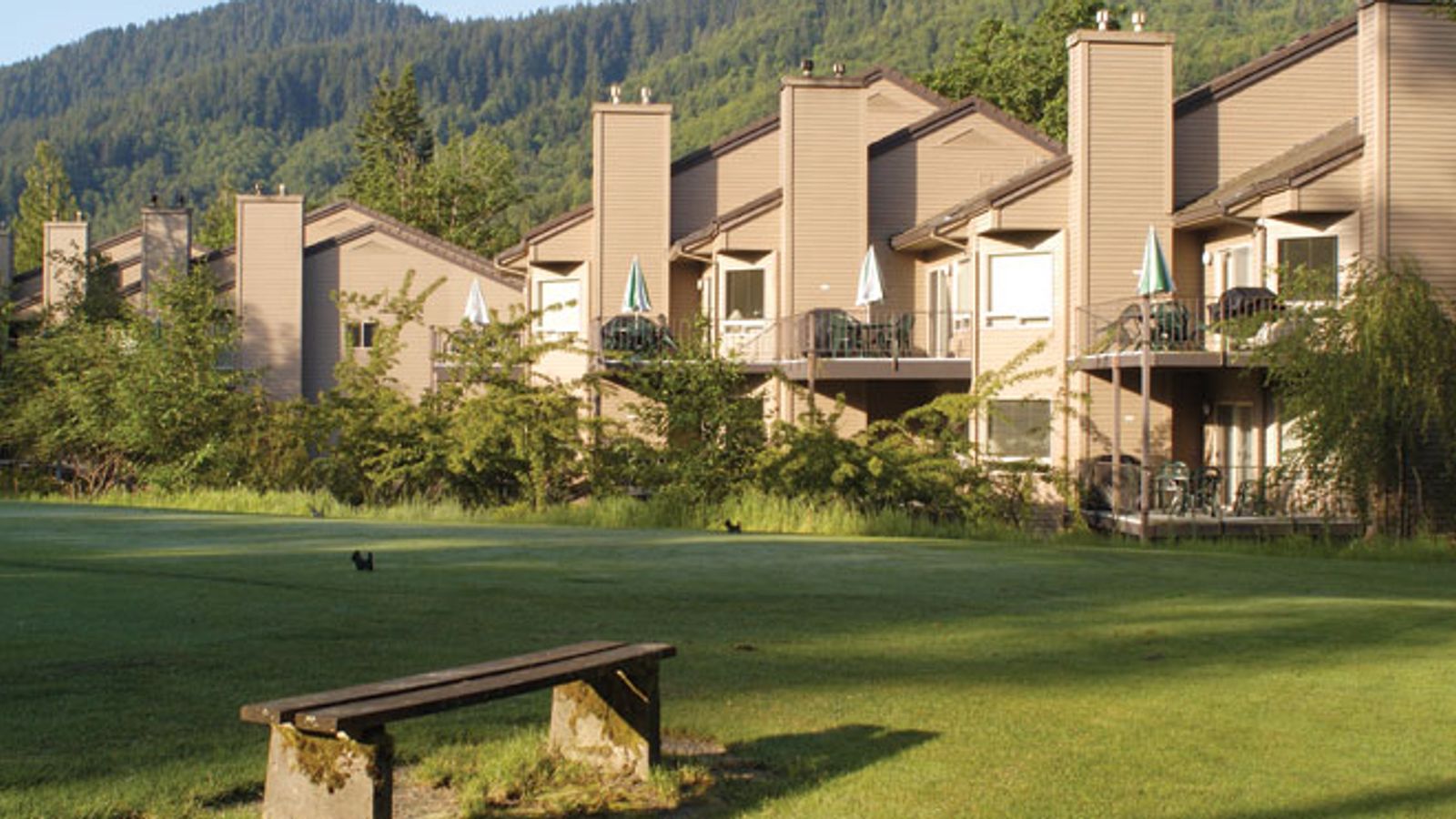 Photo of Whispering Woods Resort