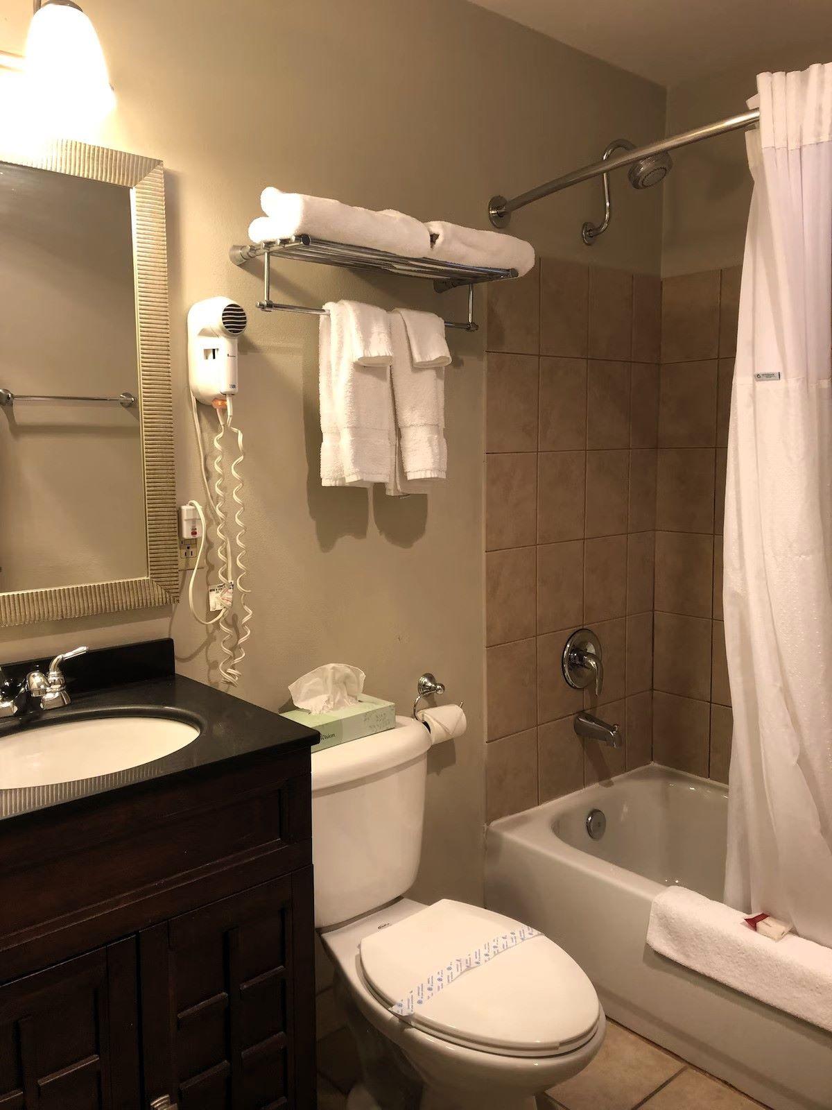 Global INN Combined shower-tub