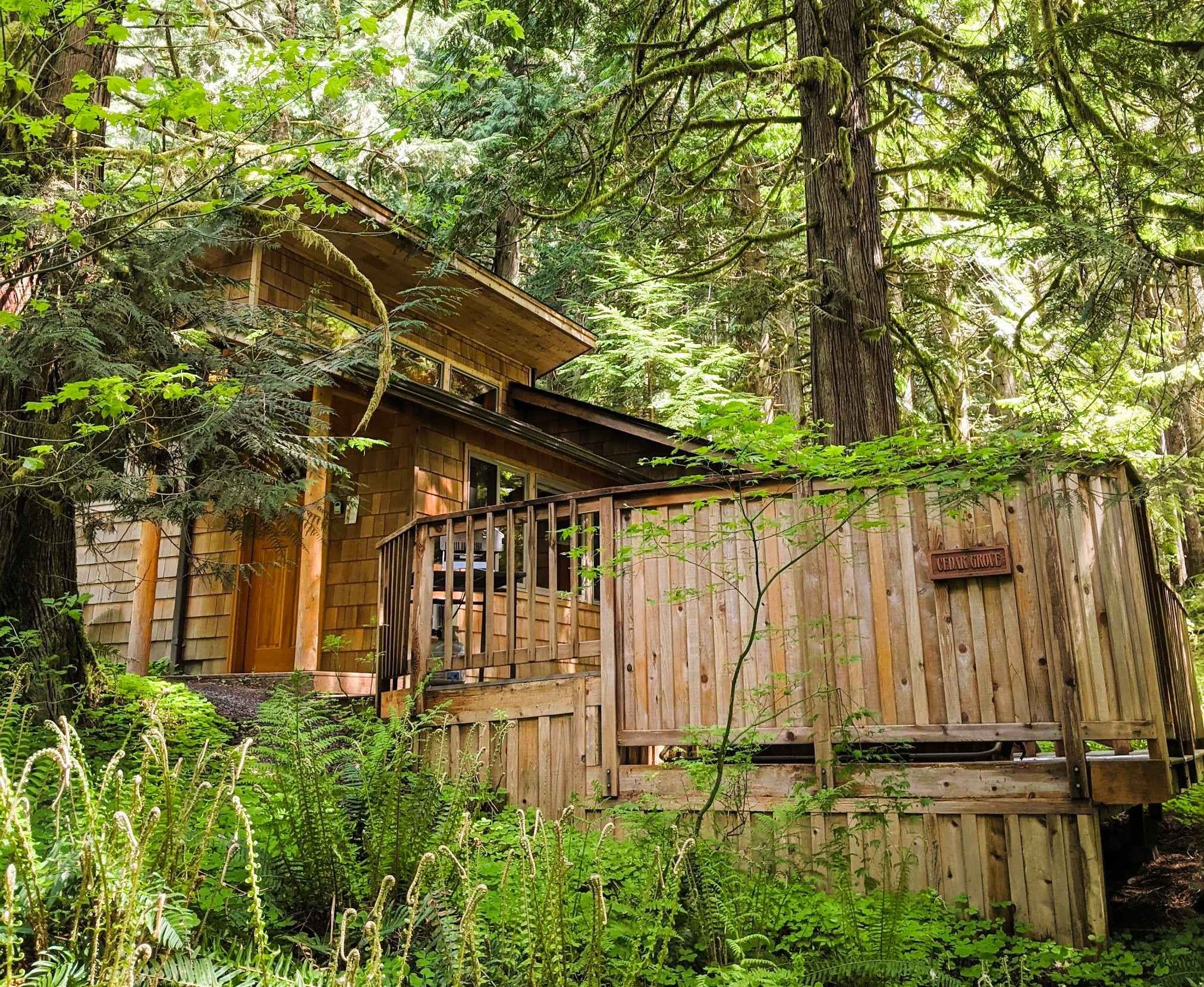 Deep Forest Cabins
