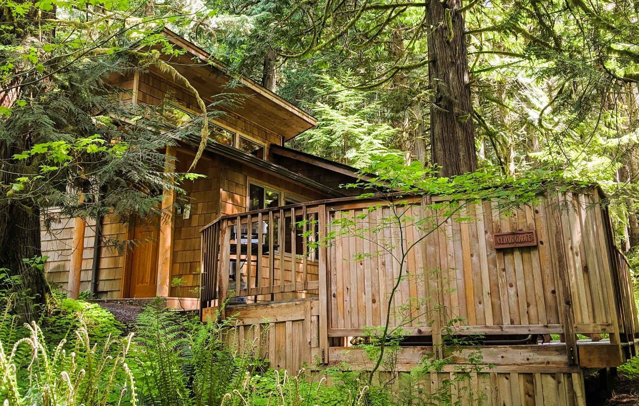 Deep Forest Cabins