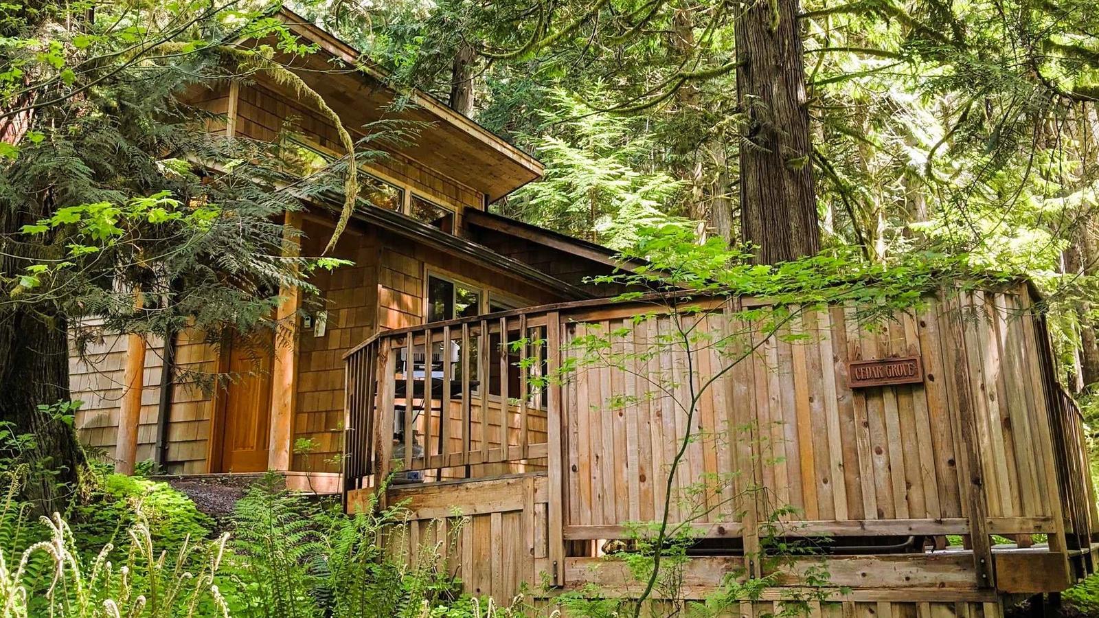 Deep Forest Cabins