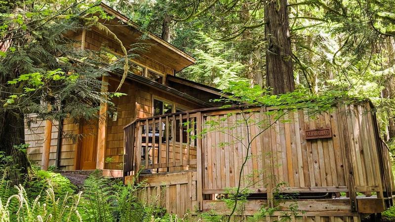 Deep Forest Cabins