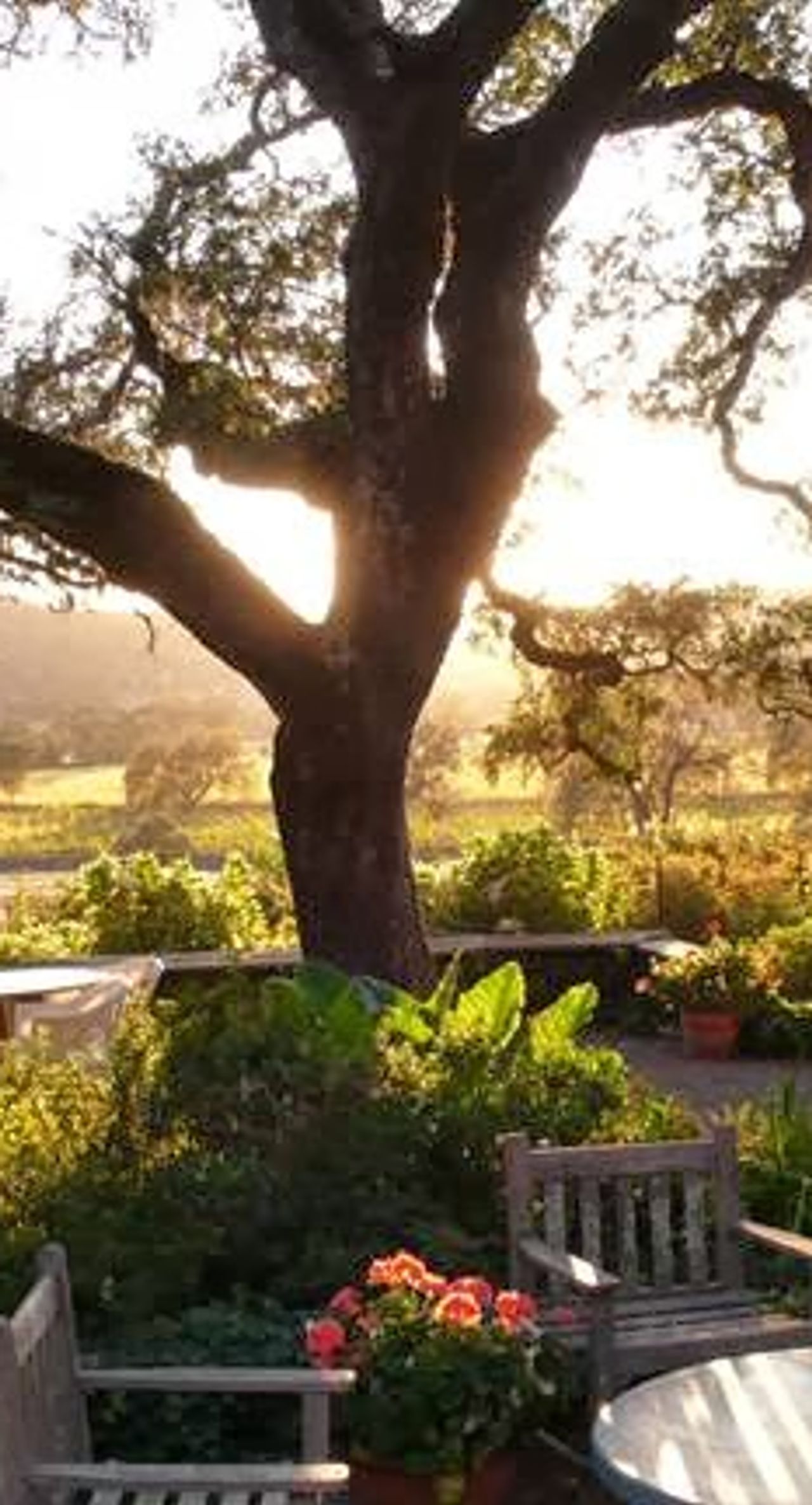 Photo of Beltane Ranch