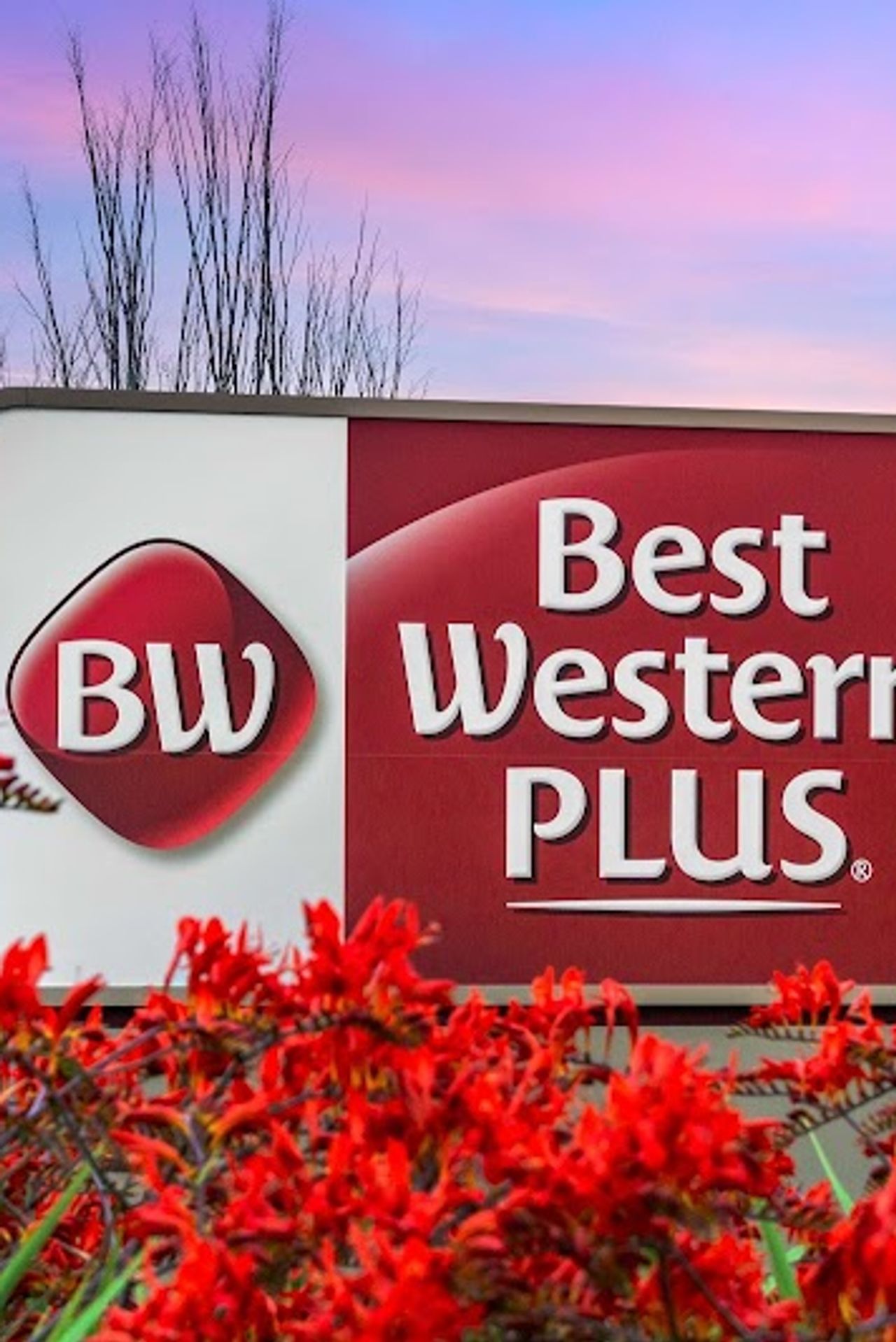 Photo of Best Western Plus Bellingham