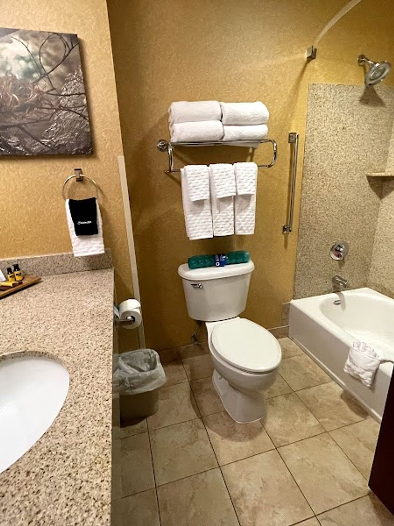 Photo of Best Western Plus Ponderay Mountain Lodge