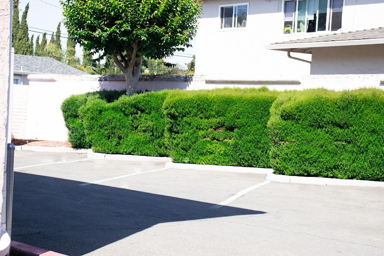 Photo of Discovery Inn Hayward - Castro Valley