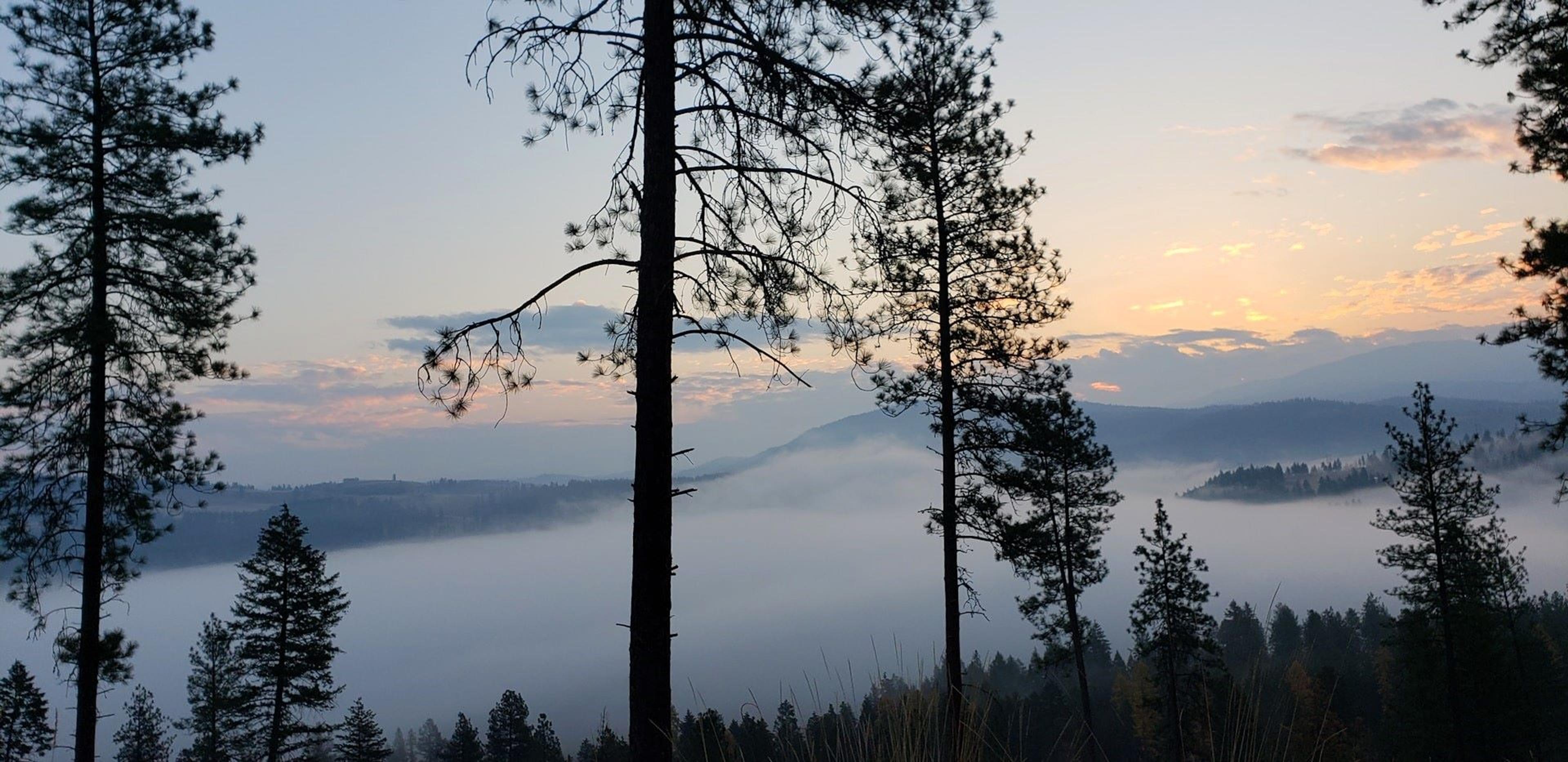 Haller Creek Rd, Colville, Washington, USA