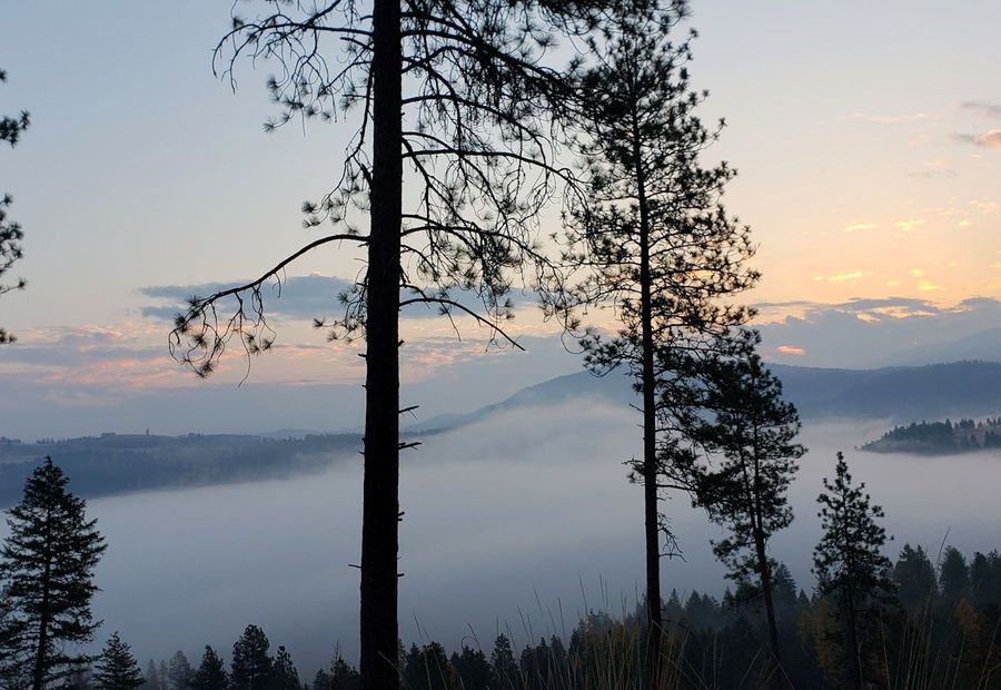Haller Creek Rd, Colville, Washington, USA