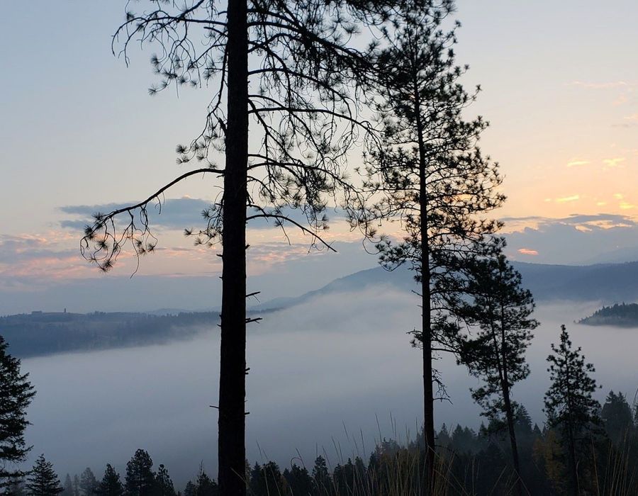 Haller Creek Rd, Colville, Washington, USA