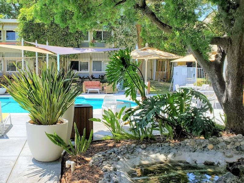 Photo of Wild Palms Hotel - JDV by Hyatt