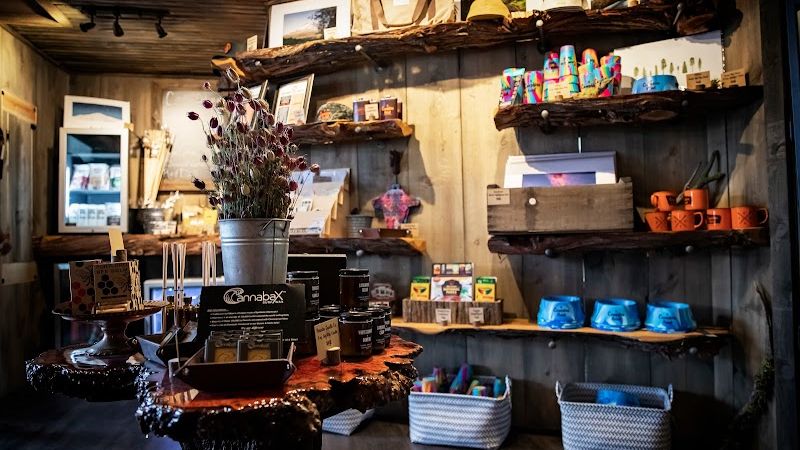 Photo of Campfire Hotel