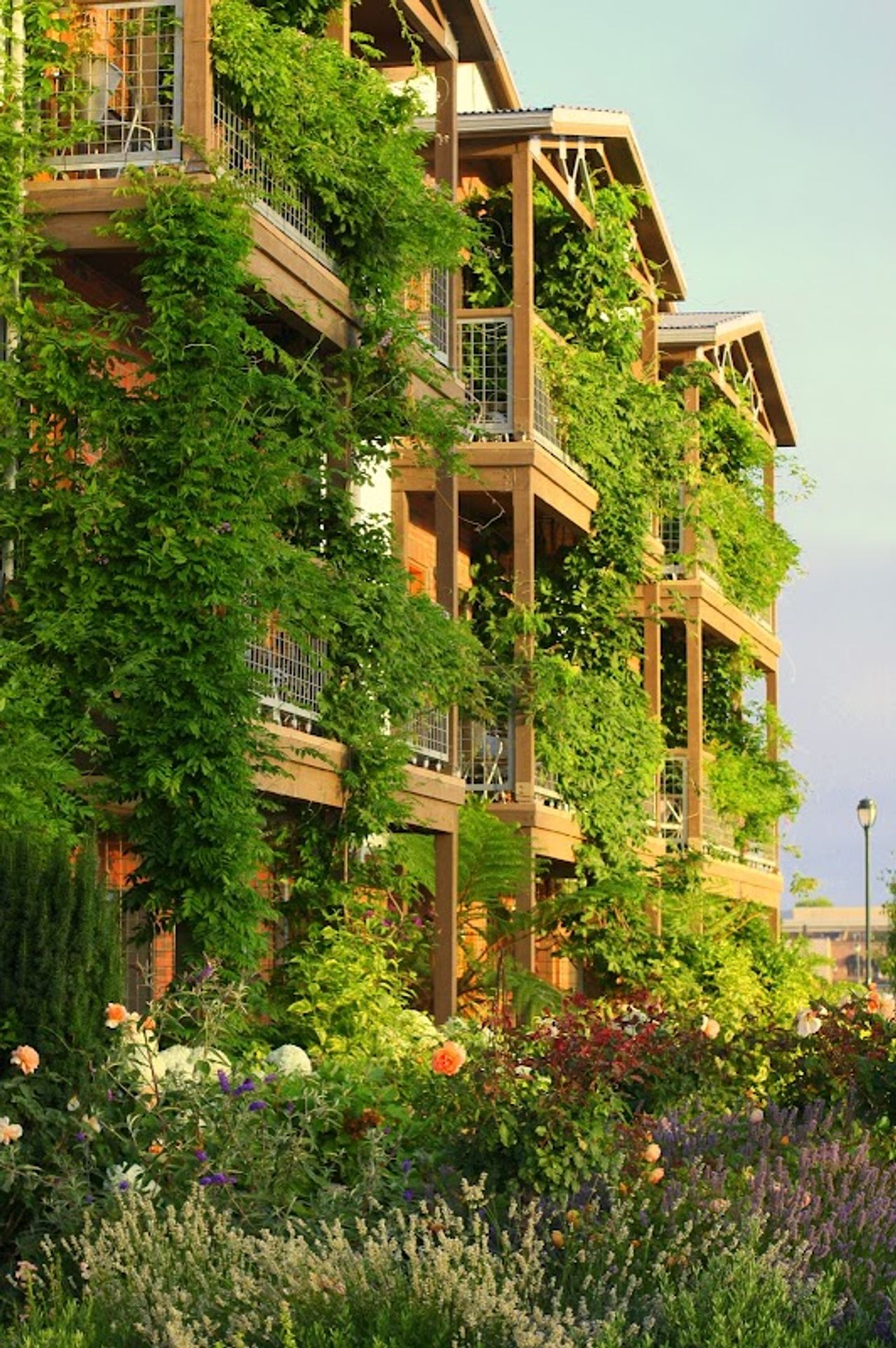 Photo of Napa River Inn