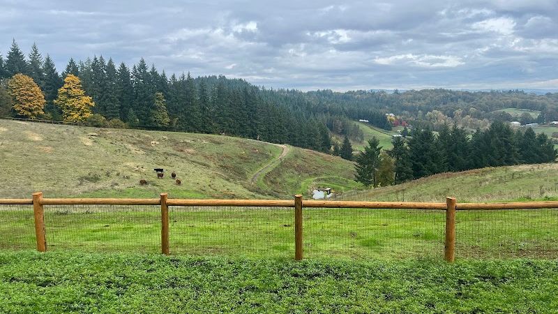 Photo of Inn the Ground