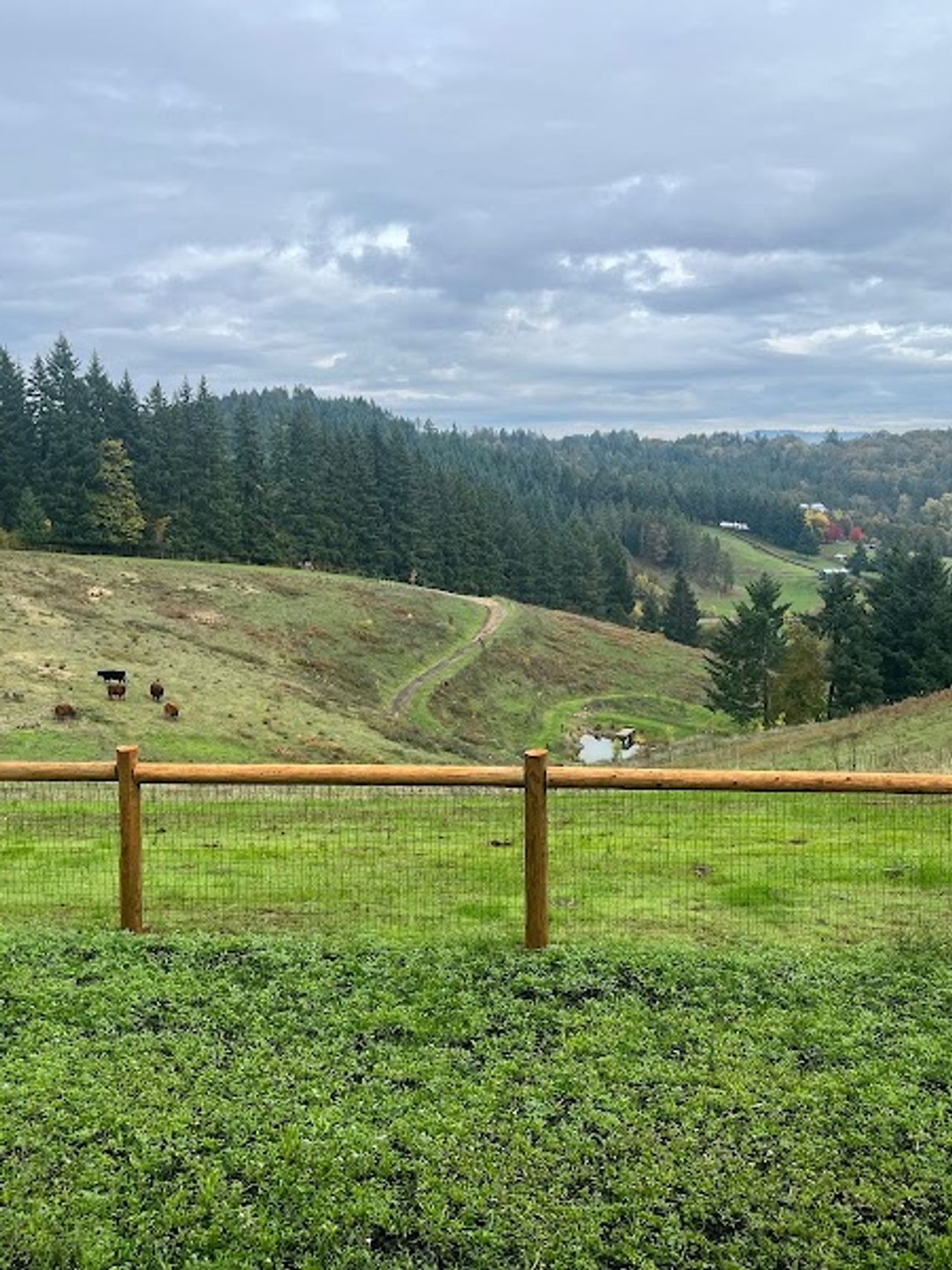 Photo of Inn the Ground