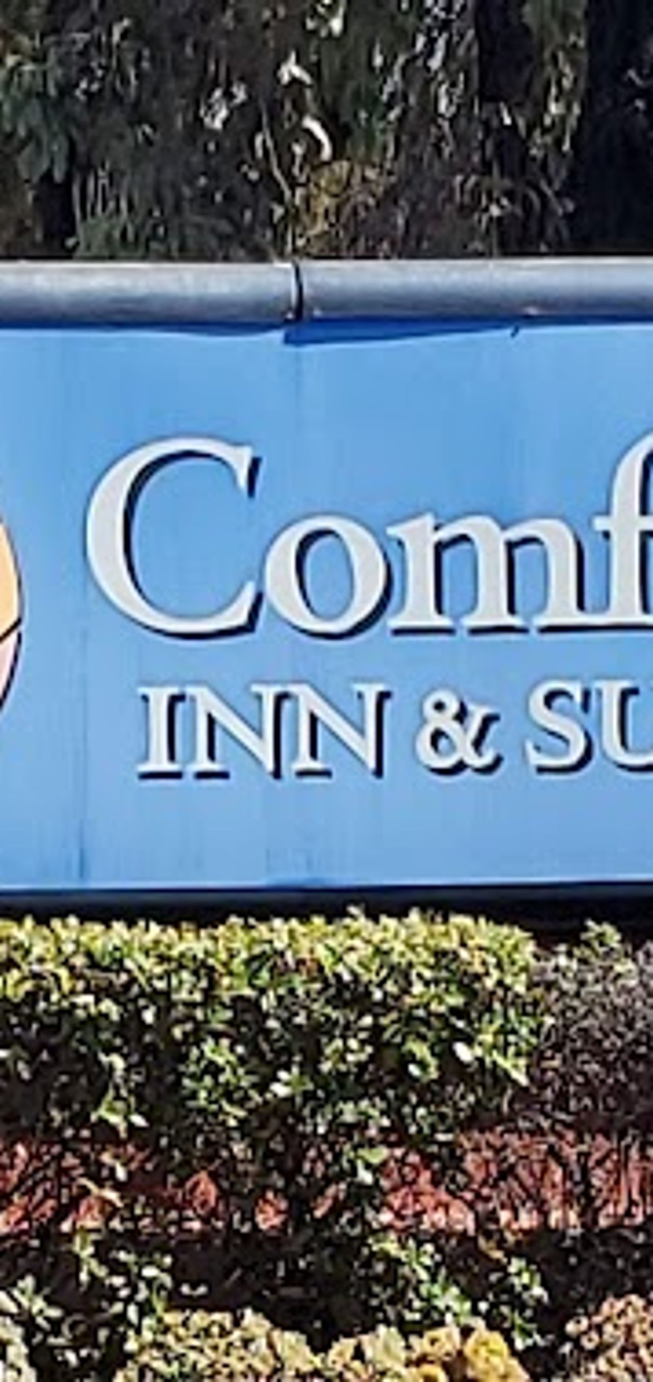 Photo of Comfort Inn & Suites