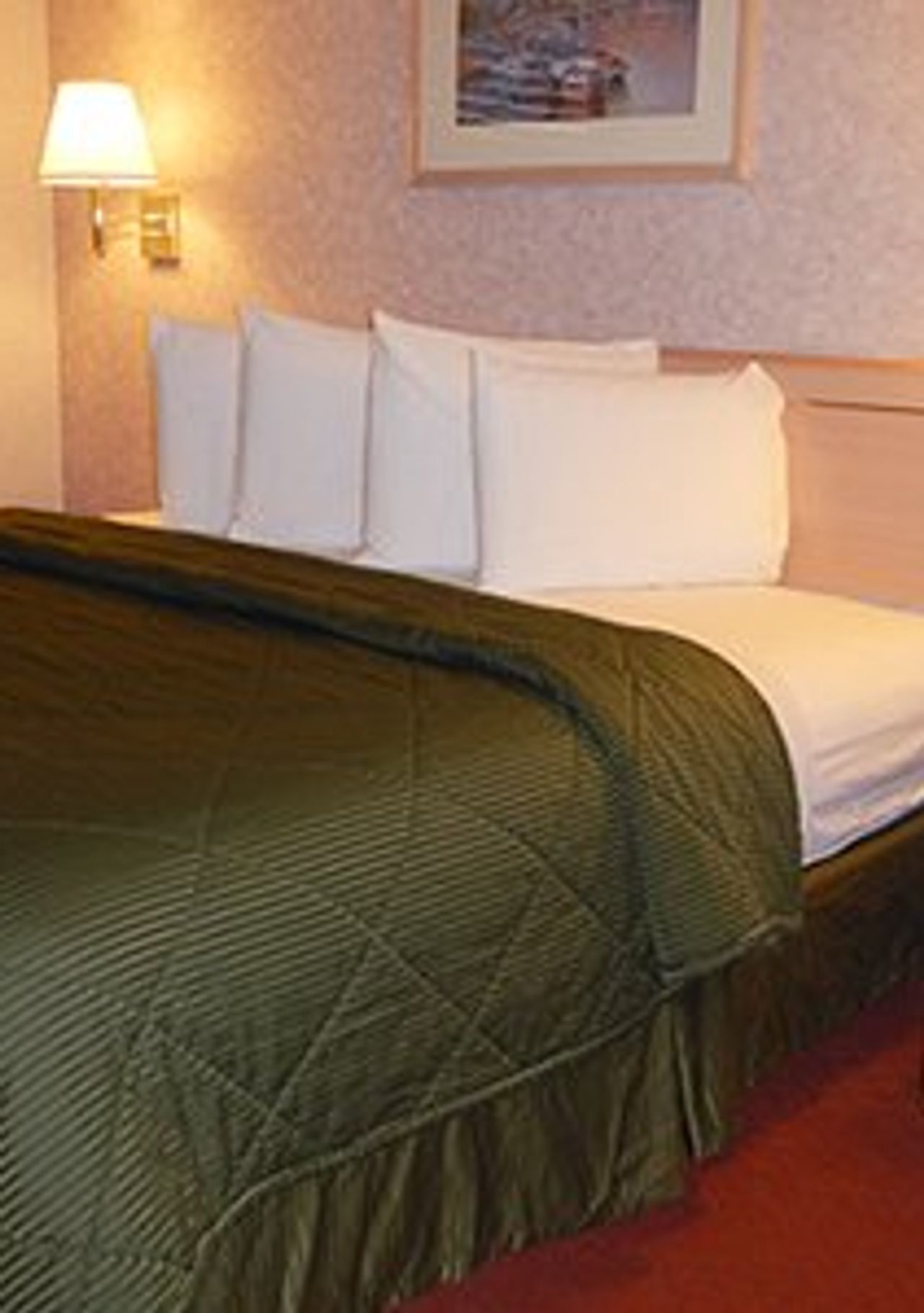 Photo of Quality Inn & Suites Vancouver North