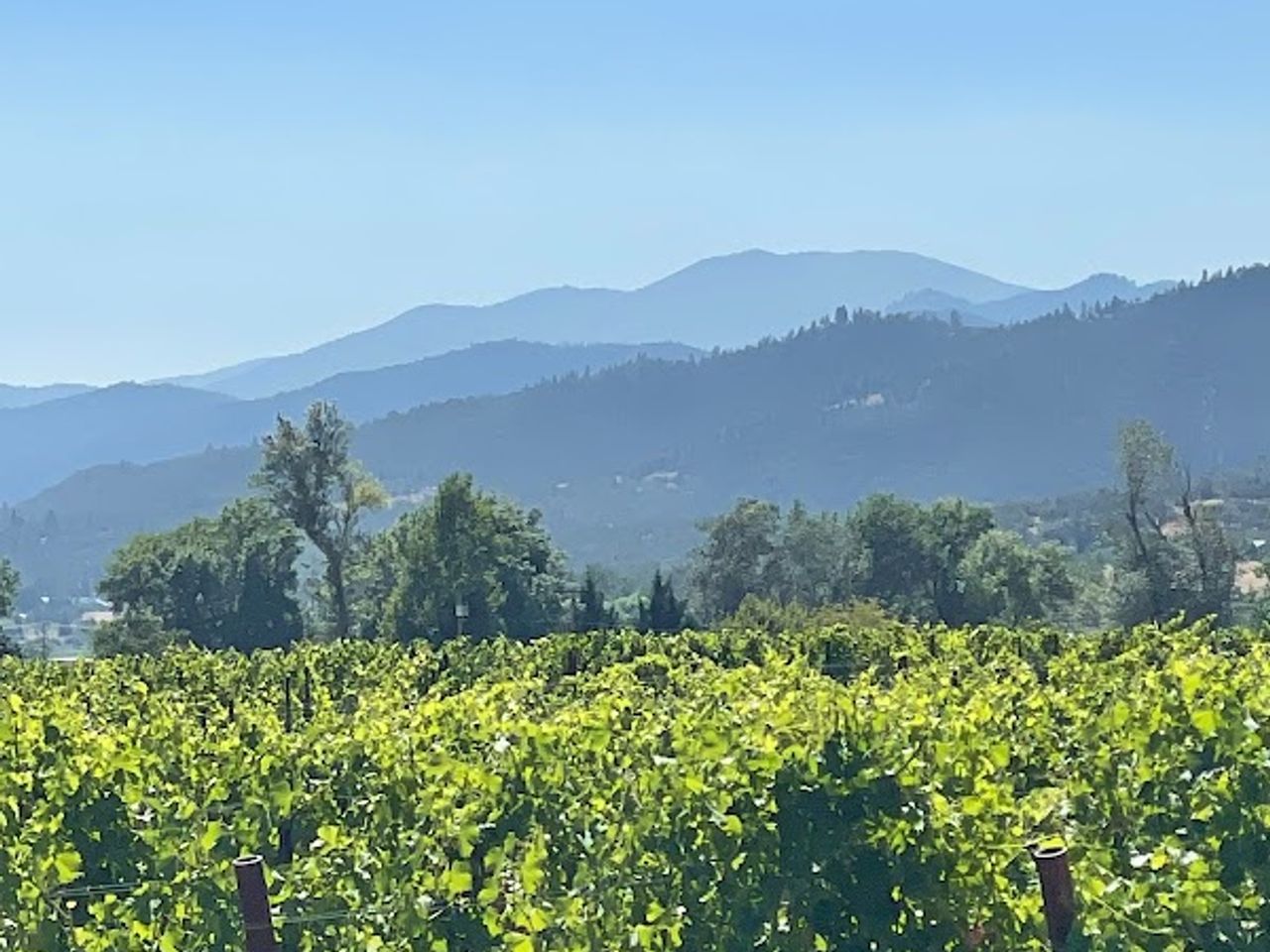 Photo of Rellik Winery