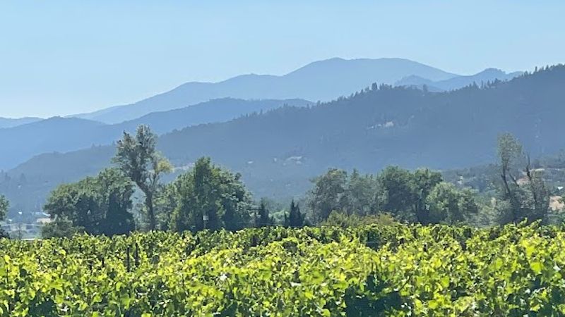 Photo of Rellik Winery