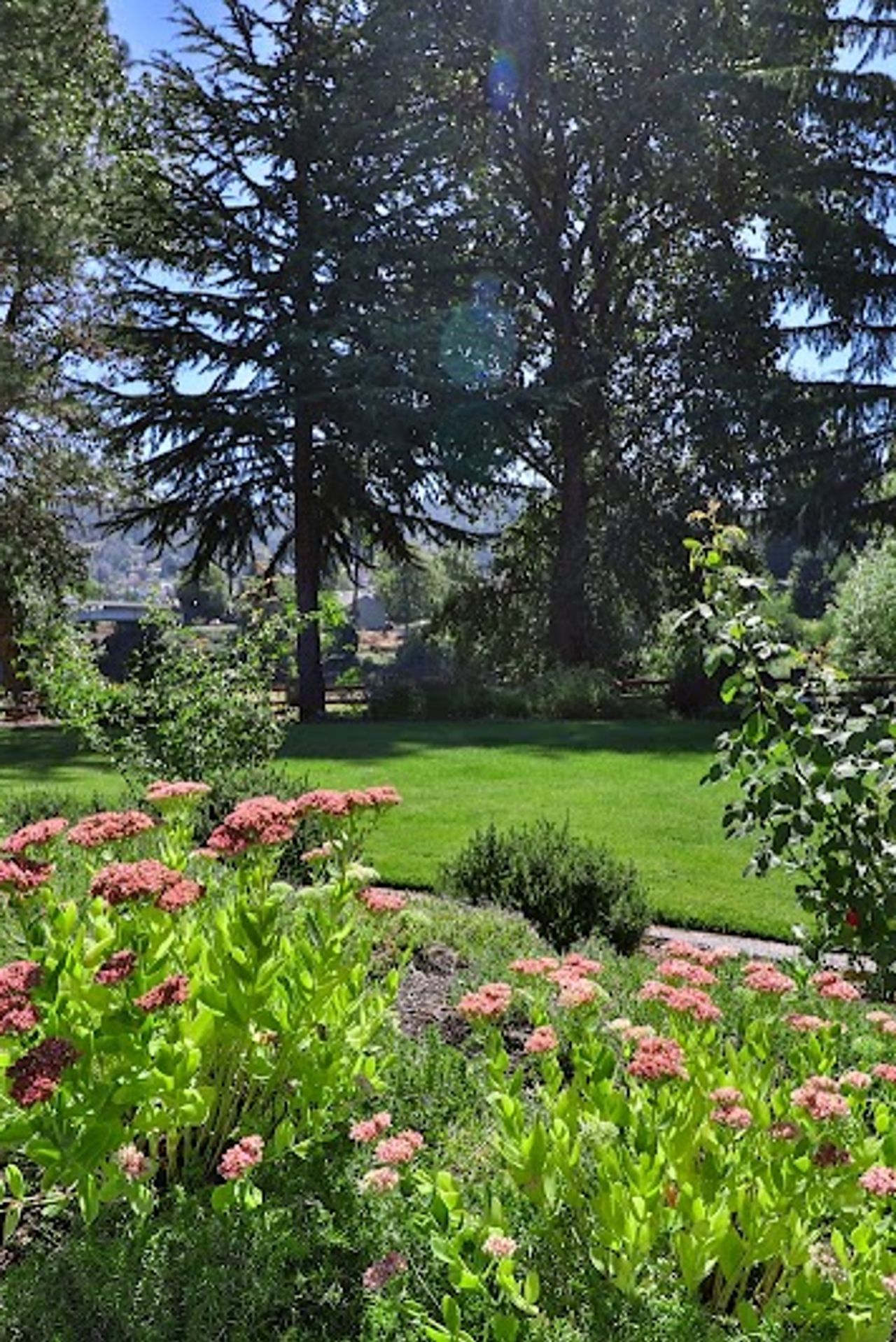 Photo of Riverfront Inn - Roseburg