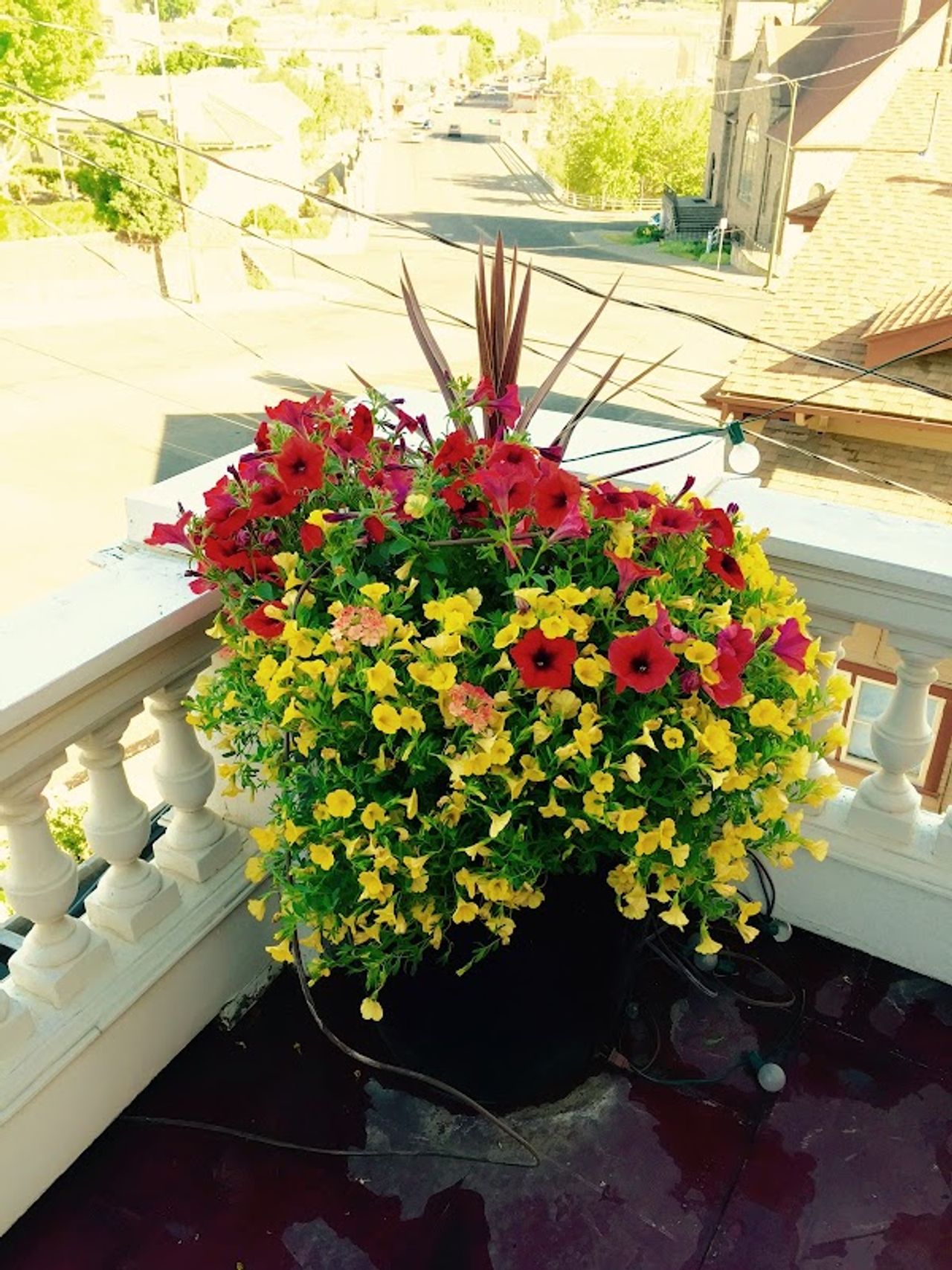 Photo of The Pendleton House Historic Inn Bed & Breakfast