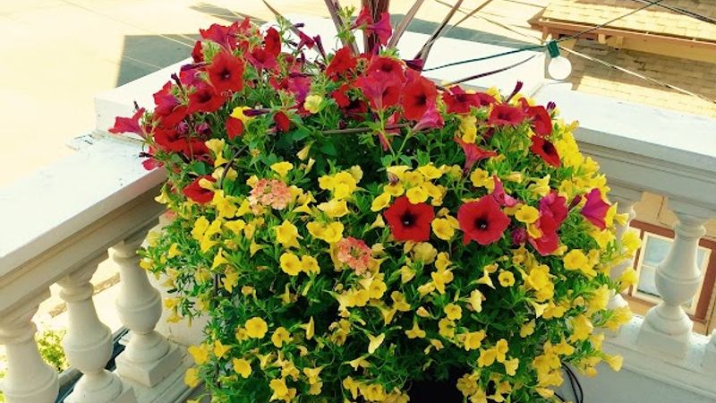 Photo of The Pendleton House Historic Inn Bed & Breakfast